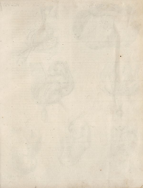 scan row 1615