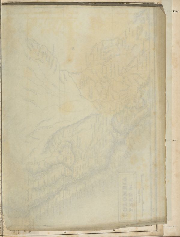 scan row 1845