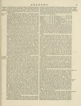 scan row 2402